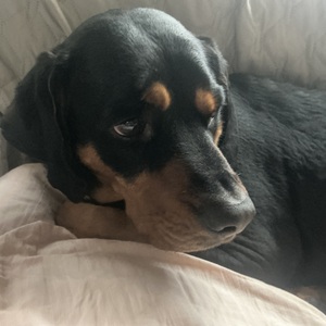 Fundraising Page: Ari Bennett